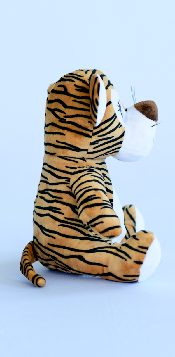 Tigre safari - Imagem 4