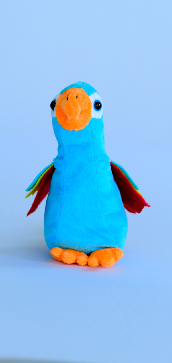Arara menor azul