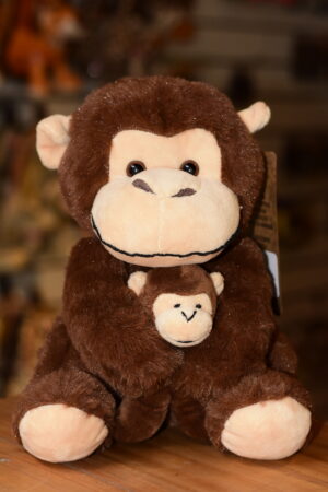 MACACO COM FILHOTE