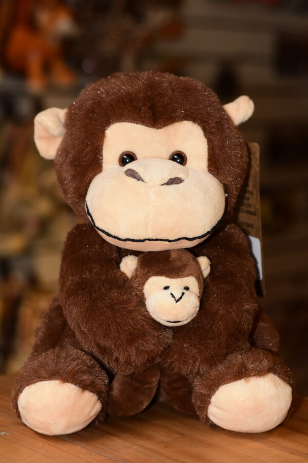 MACACO COM FILHOTE